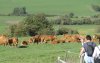 2010-marche gourmande Altviller 102